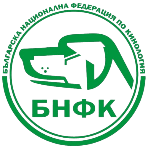 БРФК Logo